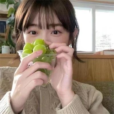我的老板是小猪